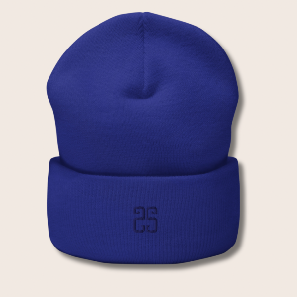 Blue Cuffed Beanie - Image 3